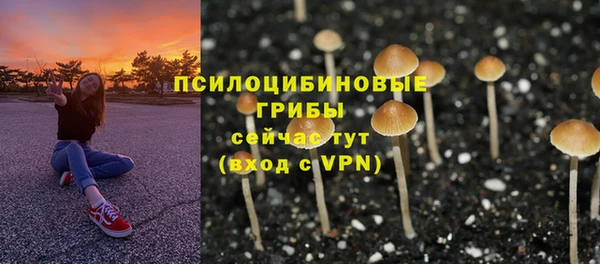 бошки Арсеньев