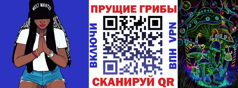 Псилоцибиновые грибы Cubensis blacksprut рабочий сайт Краснообск